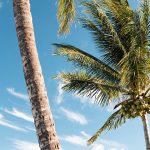 Venezuela v Helmerich & Payne International Expands Sovereign Immunities Act