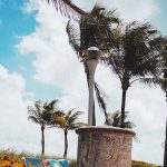 Stop the Beach Renourishment v Florida Department of Environmental Protection: Littoral Rights in Florida are Protected