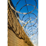 Right to Maintain Innocence in McCoy v Louisiana 2018
