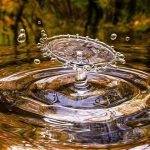 Clean Water Act