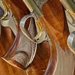 Second Amendment