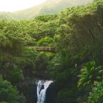 Photo by Nathan Ziemanski on Unsplash