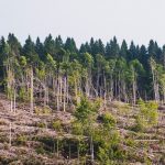 Massachusetts v. EPA