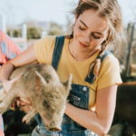Supreme Court Upholds California Animal Welfare Law