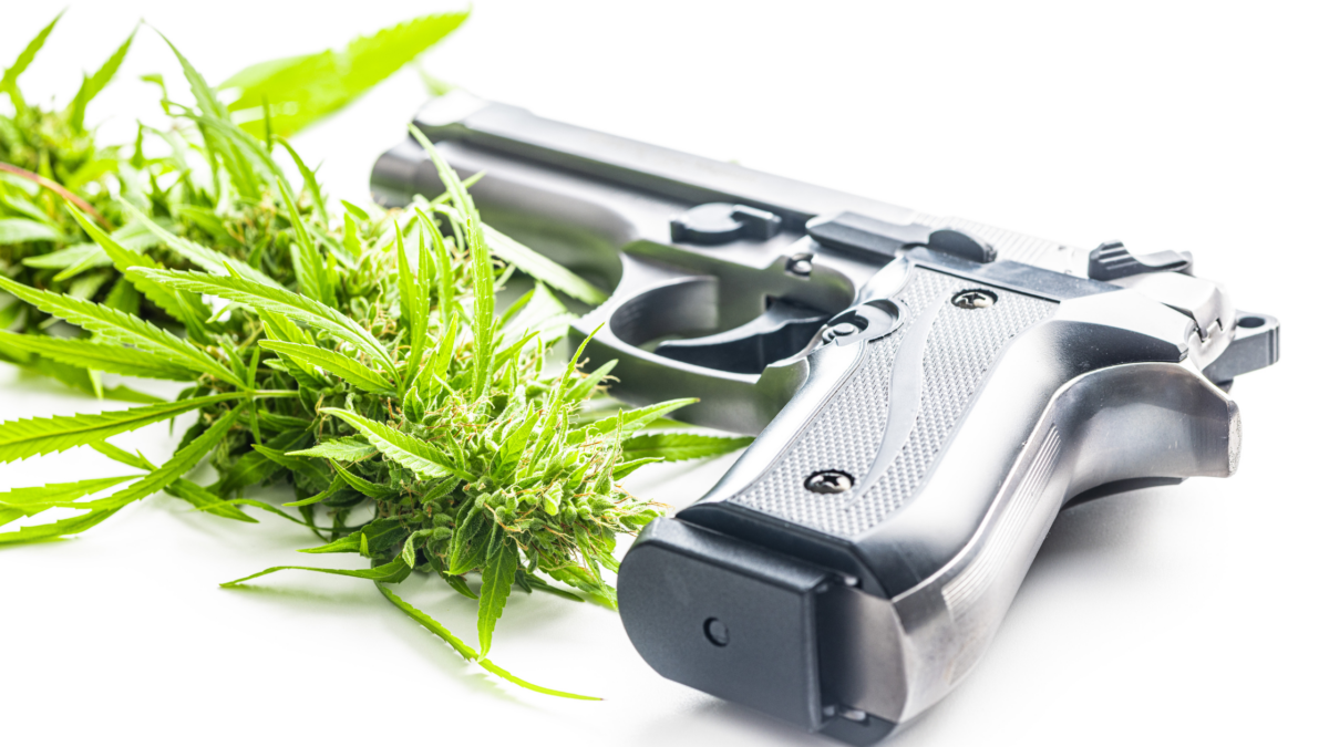 United States v. Hemani Supreme Court Second Amendment ruling