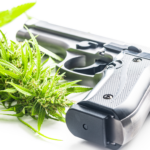 United States v. Hemani Supreme Court Second Amendment ruling